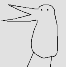 a bird